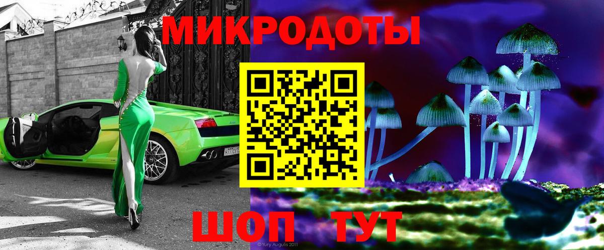 Галлюциногенные грибы Psilocybe Севастополь