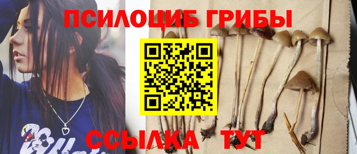 Севастополь  Псилоцибиновые грибы Psilocybine cubensis  Вход с VPN 
